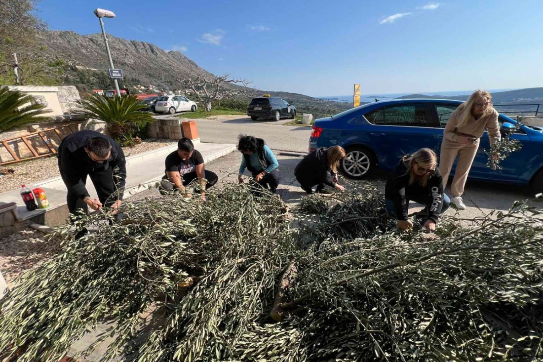 Maslinovim grančicama iz Župe dubrovačke poslana poruka mira i zajedni&scaron;tva Vukovaru